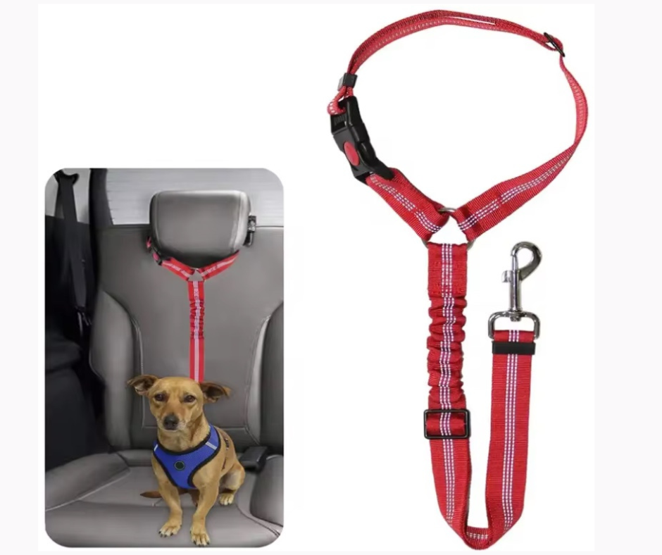 BucklePaw Leash - Keep Your Pup Safe and Secure on Every Trip!