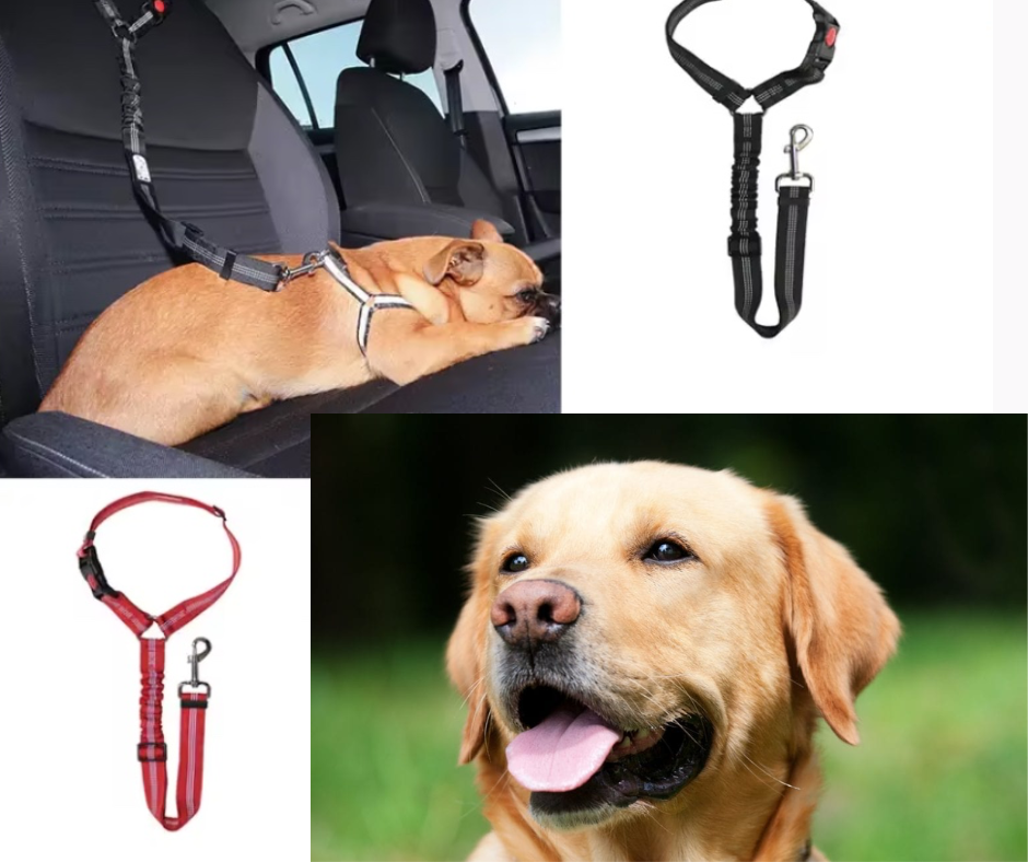 BucklePaw Leash - Keep Your Pup Safe and Secure on Every Trip!